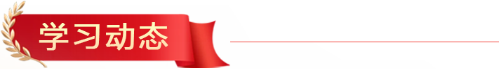 bt4 bt4