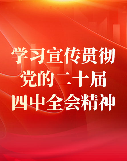 进建宣传贯彻党的二十届四中全会心灵