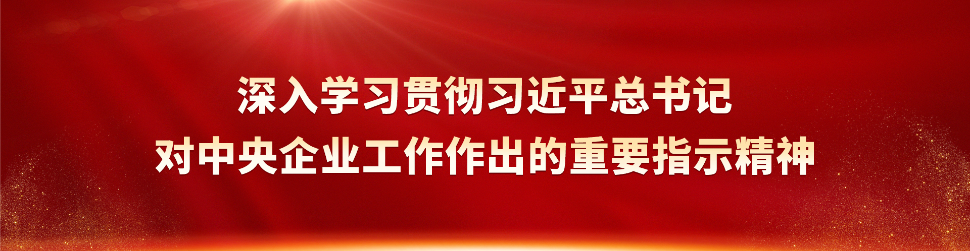 深刻进建贯彻习近平总书记对中央企业工作作出的沉要批示心灵