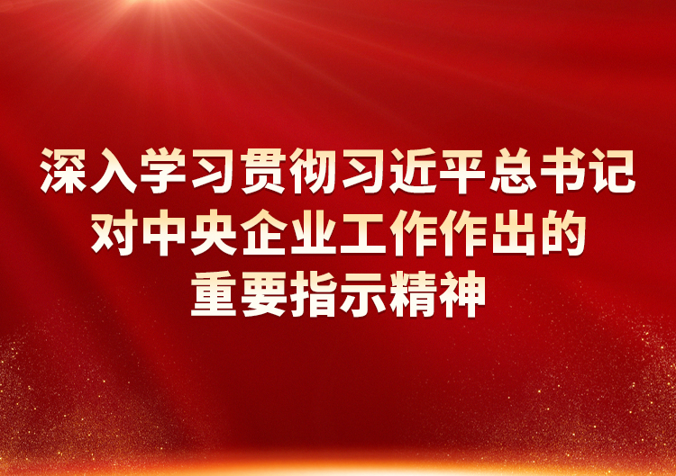 深刻进建贯彻习近平总书记对中央企业工作作出的沉要批示心灵