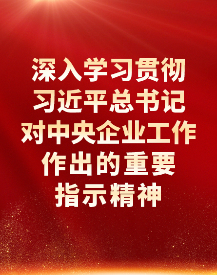 深刻进建贯彻习近平总书记对中央企业工作作出的沉要批示心灵